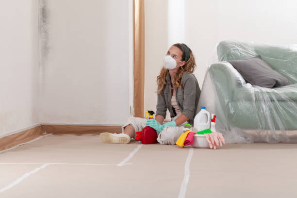 Reliable Black Mold Removal contractor in Cottage Grove, OR by WQB Mold Removal
